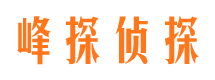 昆都仑市私家侦探